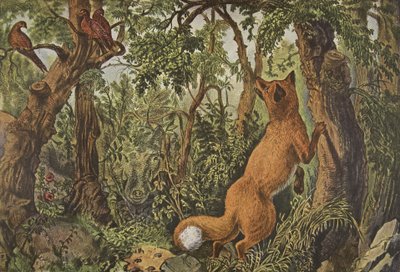 The Puzzled Fox by American School